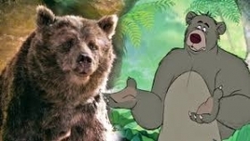 BALOO - L'ORSO - EDUCAZIONE ALLA SALUTE